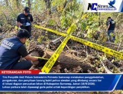 Polresta Sumenep Sita Bukti Penebangan Liar, Kasus Dugaan Perusakan Lahan Masuki Fase Krusial