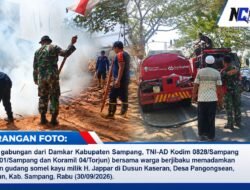 Gudang Somel Kayu di Torjun Sampang Terbakar, Kerugian Capai Rp 100 Juta Diduga Akibat Puntung Rokok