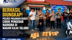 Berhasil, Diungkap! Polres Pasaman Barat Ciduk Pengedar Narkoba di Nagari Kajai Talamu