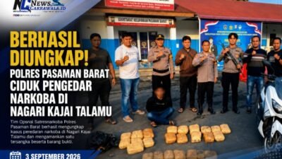Berhasil, Diungkap! Polres Pasaman Barat Ciduk Pengedar Narkoba di Nagari Kajai Talamu