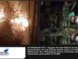 Diduga Karena Bakar Daun Kering, Setengah Hektar Lahan Bambu di Kedungdung Sampang Terbakar 