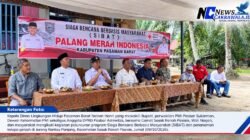 PMI Pasbar Hidupkan Kembali SIBAT di Rantau Panjang, Tanam Kelapa Genjah Perkuat Mitigasi Banjir