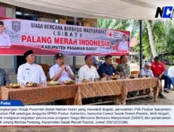 PMI Pasbar Hidupkan Kembali SIBAT di Rantau Panjang, Tanam Kelapa Genjah Perkuat Mitigasi Banjir