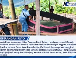 Polsek Kinali Gerebek Lokasi Judi Sabung Ayam di Perkebunan Sawit Jorong Panco