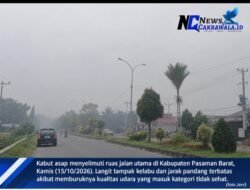 Pasaman Barat Sesak! Kabut Asap Kepung 11 Kecamatan, Sekolah Libur 3 Hari