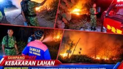 Diduga Akibat Bakar Sampah, Satu Hektare Lahan Kering dan 15 Rumpun Bambu di Torjun Sampang Ludes Terbakar